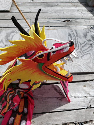 Handpainted Dragon Kite (Assorted Colors)